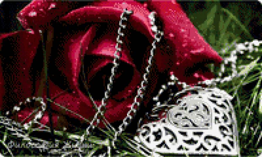 подарок - роза, кулон, цветок, трава, цепочка, сердце - предпросмотр