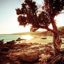 Схема вышивки «№715664»