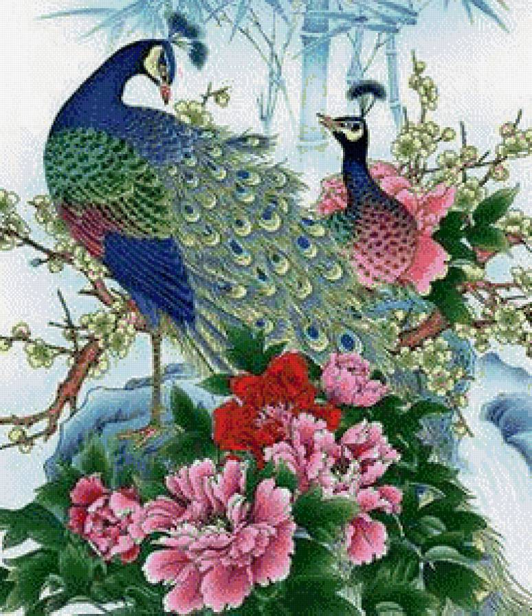 Павлины - предпросмотр