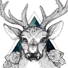 Лесной страж