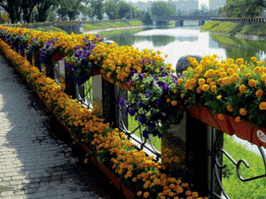 №715817 - цветы, городские улочки - предпросмотр