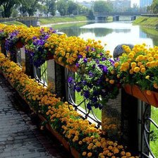 Схема вышивки «№715817»