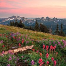 Схема вышивки «№715819»