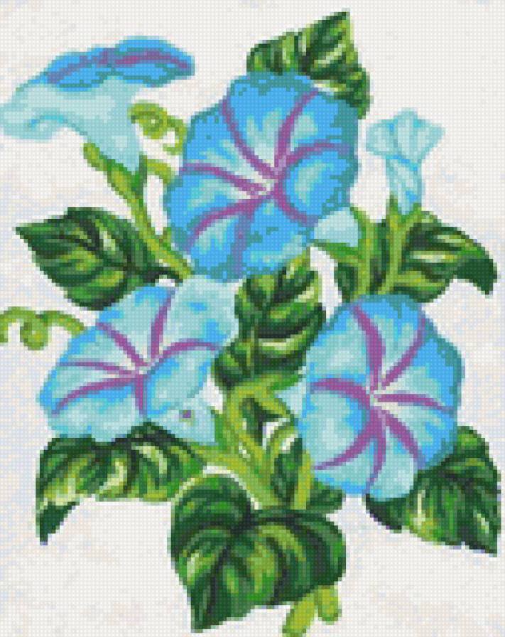 колокольчики - растения - оригинал