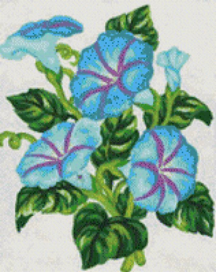 колокольчики - растения - предпросмотр