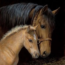 Мама и малыш