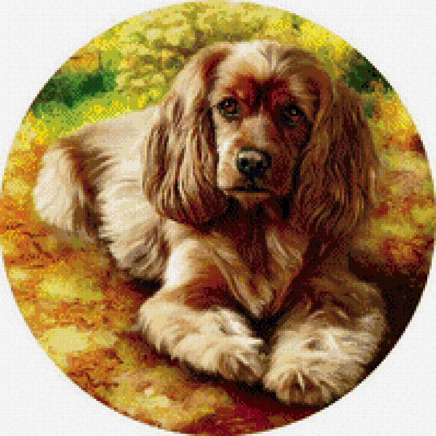 Друг - собачка, друг - предпросмотр