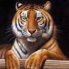 Схема вышивки «Тигра»