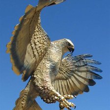 Схема вышивки «Сокол»