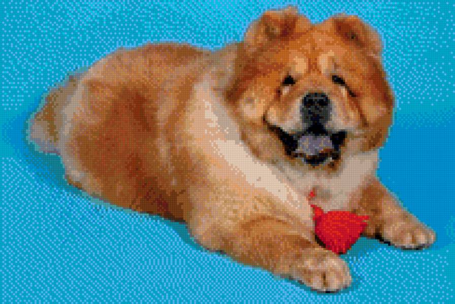 МЭГ - предпросмотр