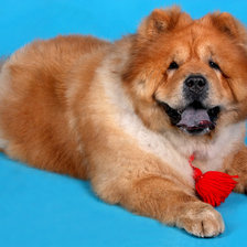 Схема вышивки «МЭГ»