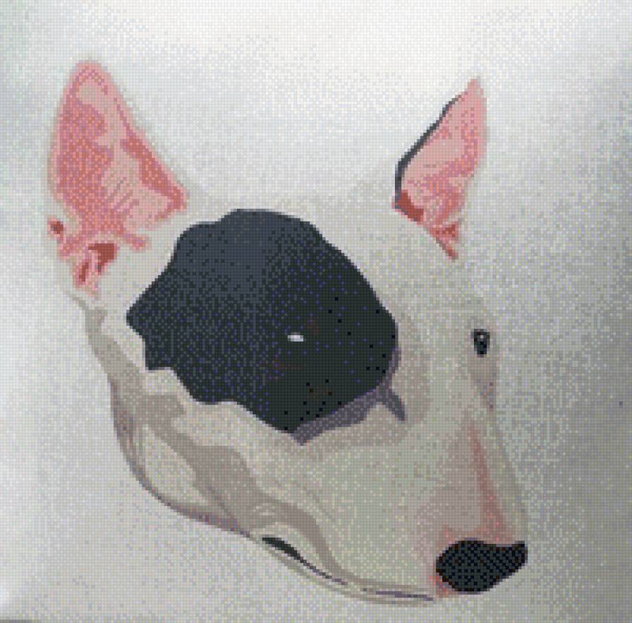 Бультерьер - предпросмотр