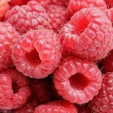 Схема вышивки «Малина»