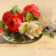 Розы Катарина Кляйн