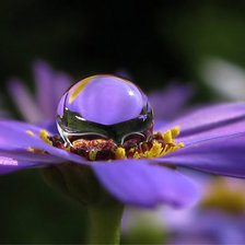 Схема вышивки «Цветок»