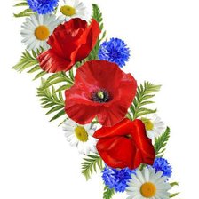 Схема вышивки «маки,ромашки,васильки»