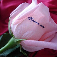 Схема вышивки «цветы»