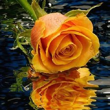 Схема вышивки «№716589»