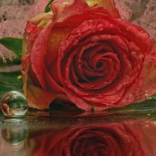 Схема вышивки «№716607»