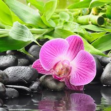 Схема вышивки «№716610»