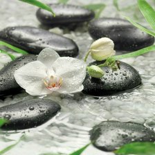 Схема вышивки «№716620»