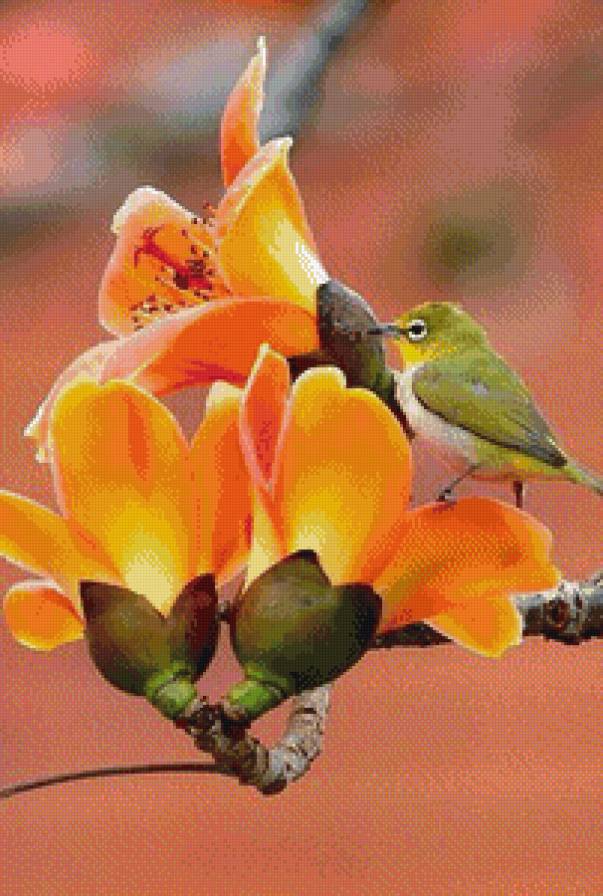 №716628 - птицы, цветы, ветка - предпросмотр