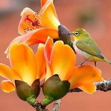 Схема вышивки «№716628»