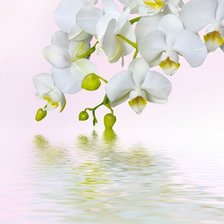 Схема вышивки «№716630»