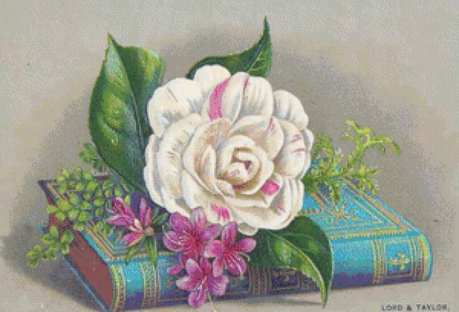 №716672 - натюрморт, цветы, роза, книга - предпросмотр