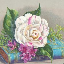 Схема вышивки «№716672»