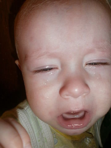 денежка - внук - оригинал