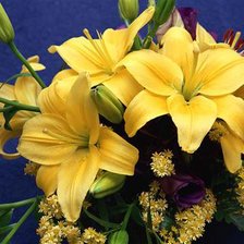 Схема вышивки «желтые лилии»