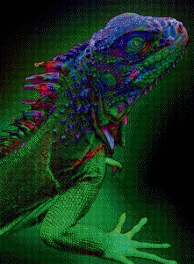 Ящер - многоцветный, ящерица - предпросмотр