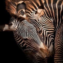 Схема вышивки «Стиль»