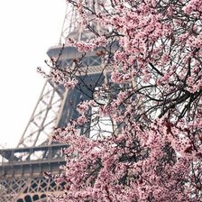 Схема вышивки «Париж»