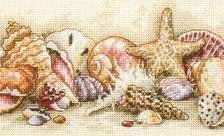 морские ракушки