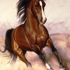 Схема вышивки «лошадь»