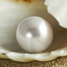 Схема вышивки «Жемчуг»