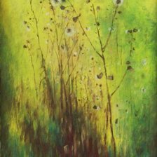 Схема вышивки «Osty IV»