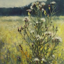 Схема вышивки «Osty V»