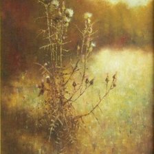 Схема вышивки «Osty IX»