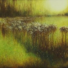 Схема вышивки «Mokradła III»