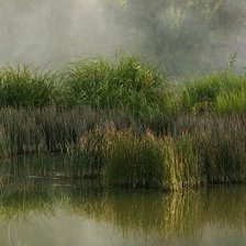 Схема вышивки «Mokradła IV»