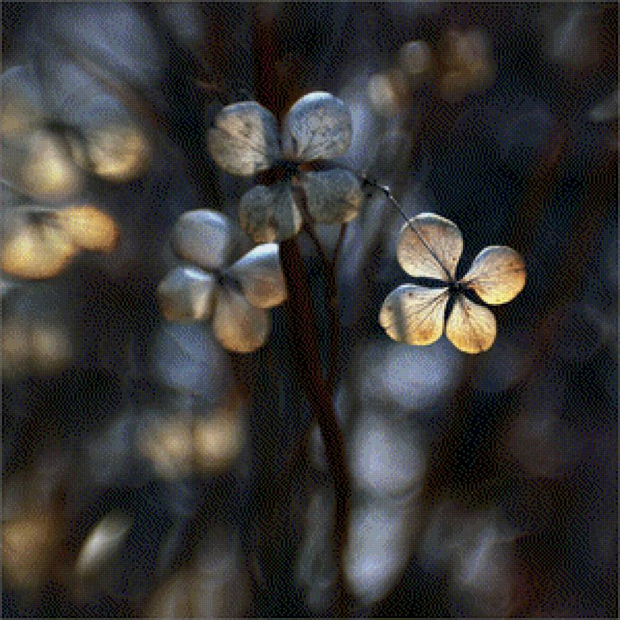 subtelności III - предпросмотр