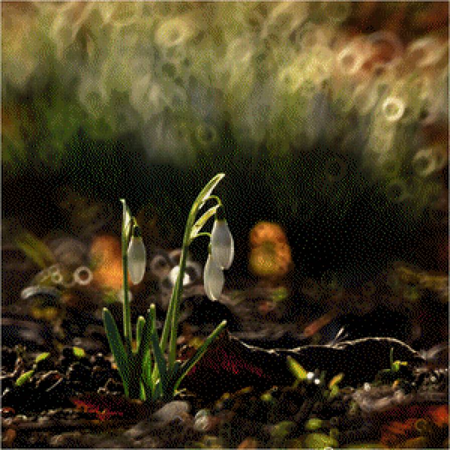 subtelności VI - предпросмотр