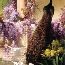 Схема вышивки «Paw»