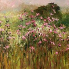 Схема вышивки «Łąki, trawy, kwiaty... V»