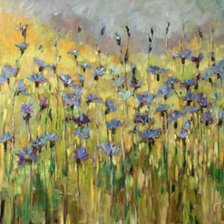 Схема вышивки «Łąki, trawy, kwiaty... XV»