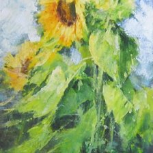 Схема вышивки «Słonecznik»