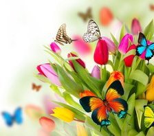 дыхание лета